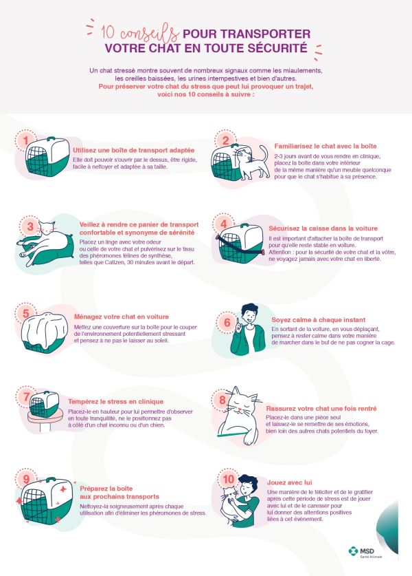 Conseils pour transporter son chat