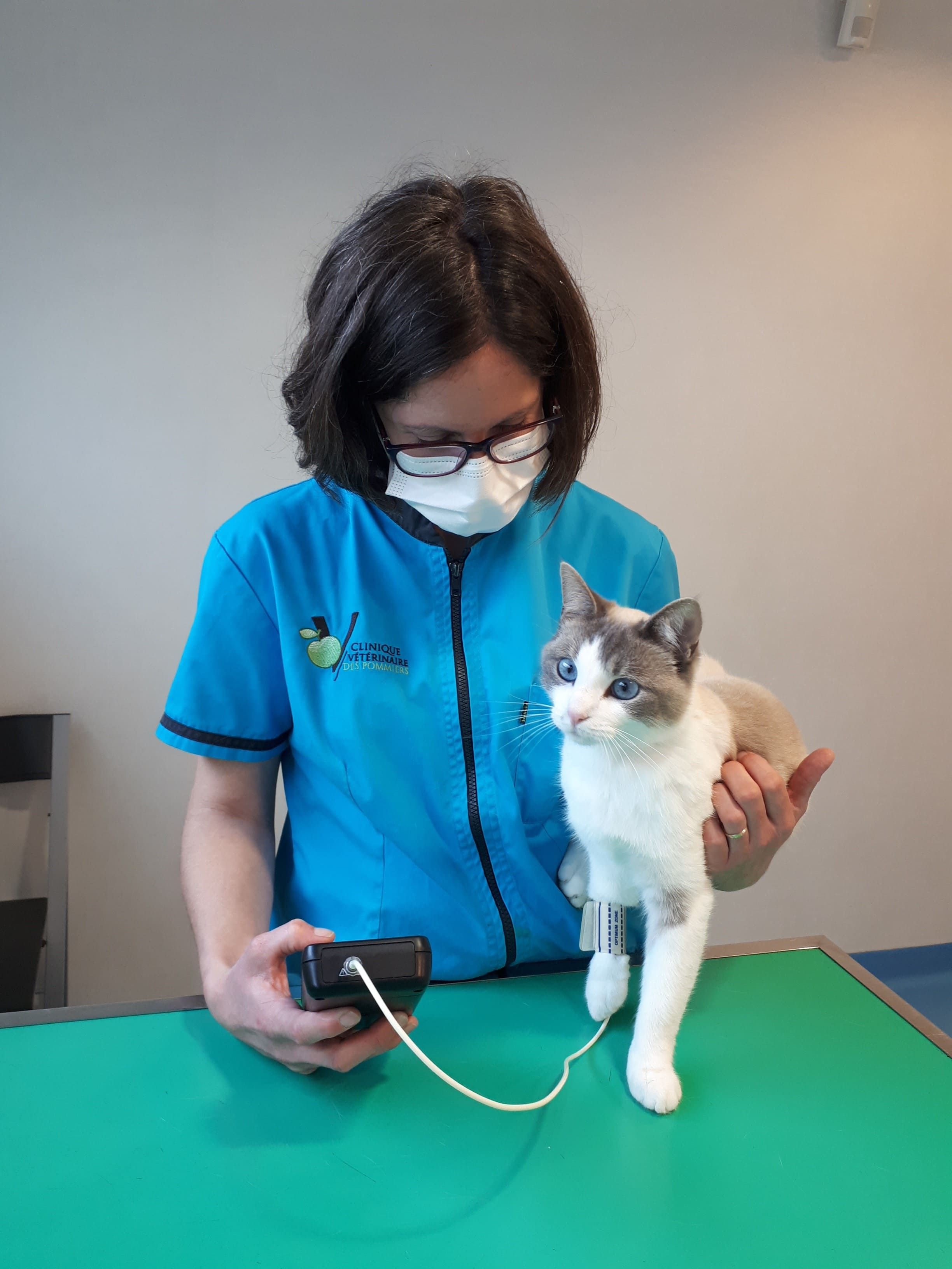 chat controle